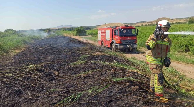 Aşırı sıcaklar Manisa’yı ateş çemberine çevirdi