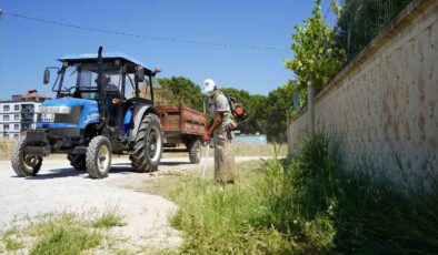 Karaali’de yol kenarları temizlendi