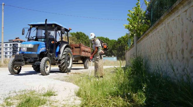 Karaali’de yol kenarları temizlendi