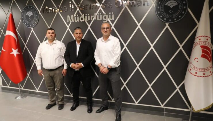 Köprübaşı tarımında nöbet değişimi
