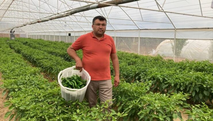 Lezzeti fiyatını unutturuyor