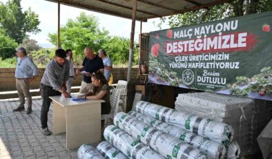 Manisa Büyükşehir’den çilek üreticilerine malç naylonu desteği