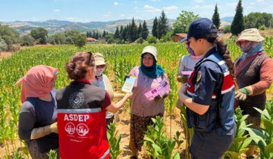 Salihli Jandarma, tütün tarlasında KADES’i anlattı