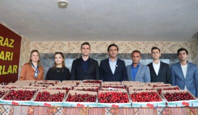 Selendi’de kirazın en iyisi seçildi