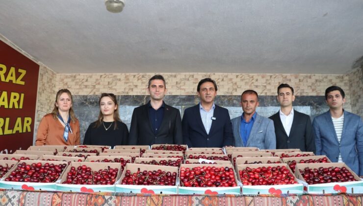 Selendi’de kirazın en iyisi seçildi