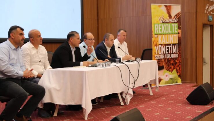 Üzümcünün gündemi rekolte, kalıntı ve fiyat