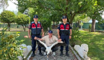 Yaralı leylek için seferber oldular