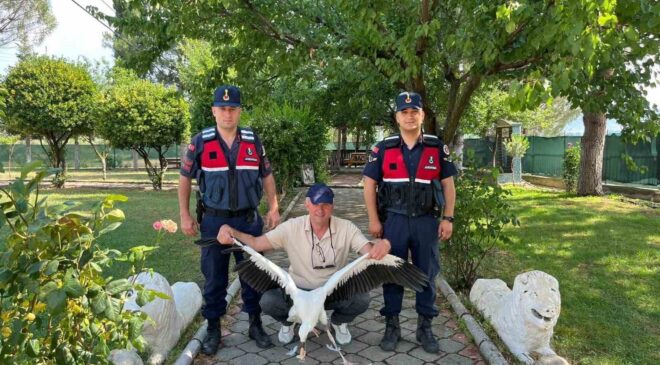 Yaralı leylek için seferber oldular
