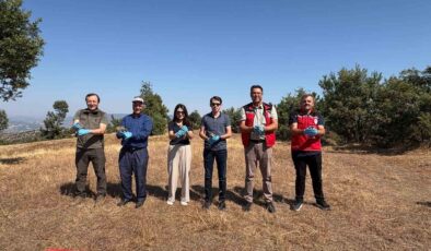 Manisa Gördes’te ekolojik denge için doğaya 500 keklik bırakıldı