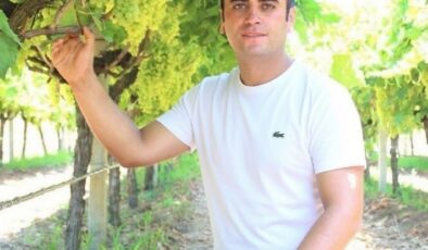 Manisa’da üzüm için “Altın Model”