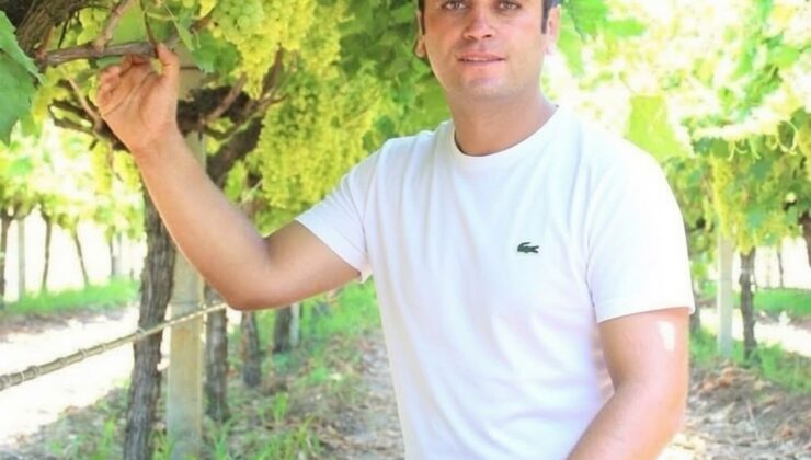 Manisa’da üzüm için “Altın Model”
