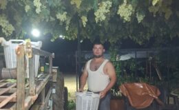Sarıgöl’de üzüm için gece mesaisi