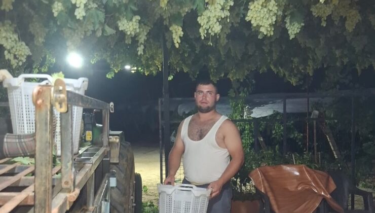 Sarıgöl’de üzüm için gece mesaisi