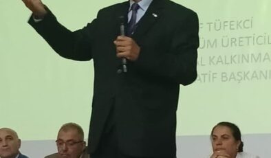 Üzüm sektöründen ’Eylem Planı’ çağrısı