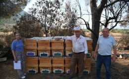 Yangında kovanları zarar gören arıcıya destek