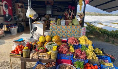 Yol üzerinde dalından sofraya