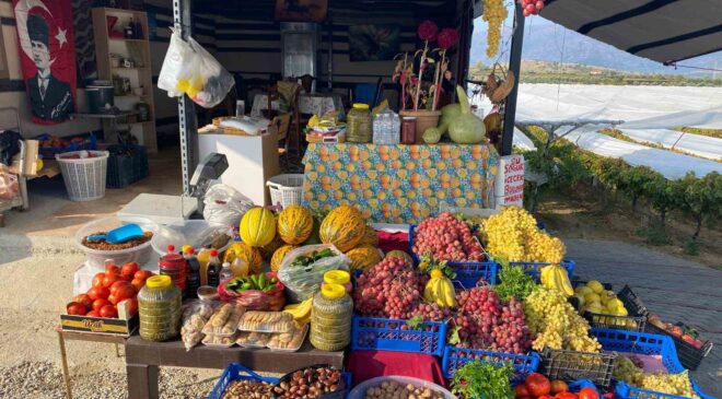 Yol üzerinde dalından sofraya