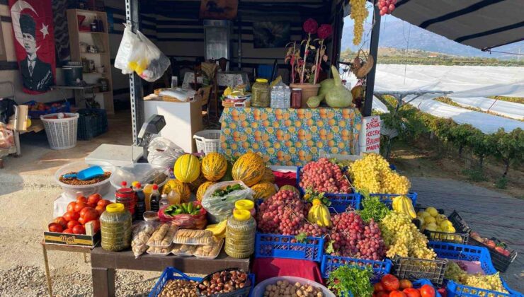 Yol üzerinde dalından sofraya