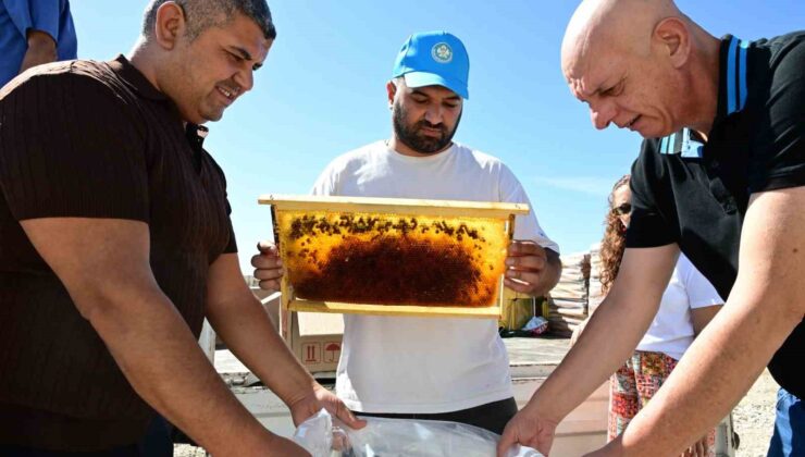 Manisa’da arıcıların peteklerine eksi 30 derecelik koruma