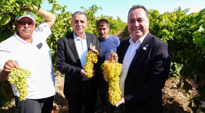 Manisa’da bağbozumu heyecanı başladı