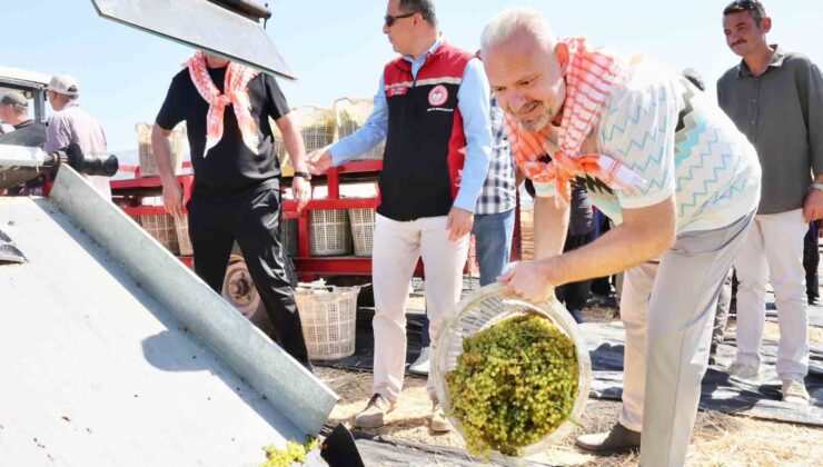 Menemen’de ’Bağ Bozumu’ coşkusu