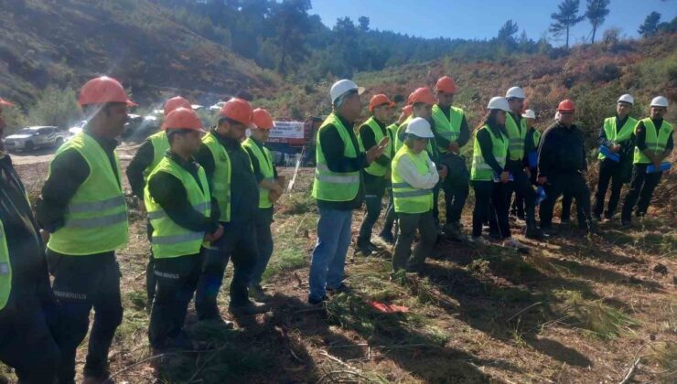 Akhisar’da ormanların geleceği için sahada eğitim