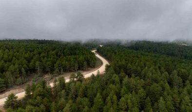 Demirci Söğütçük’te 11 kilometrelik yol için çalışma başladı