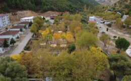 Demirci’de sonbaharın renk cümbüşü havadan görüntülendi