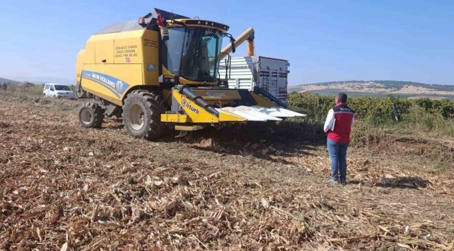 Manisa’da tarımsal üretimde saha denetimleri sürüyor