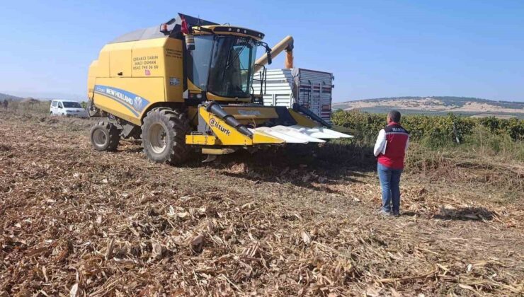 Manisa’da tarımsal üretimde saha denetimleri sürüyor