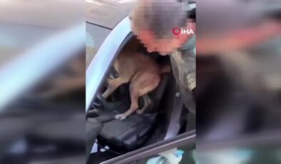 Manisa’daki uyuşturucu operasyonunda 2 şüpheli tutuklandı
