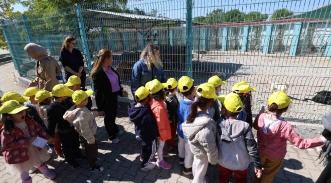 Minikler bakımevindeki hayvanlarla buluştu
