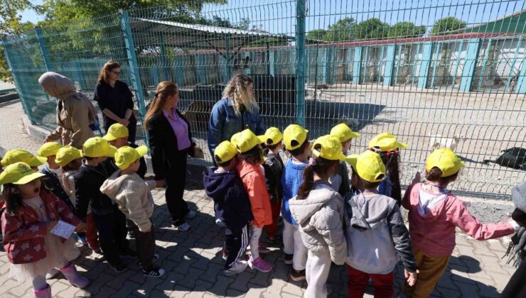 Minikler bakımevindeki hayvanlarla buluştu